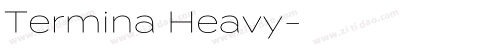 Termina Heavy字体转换